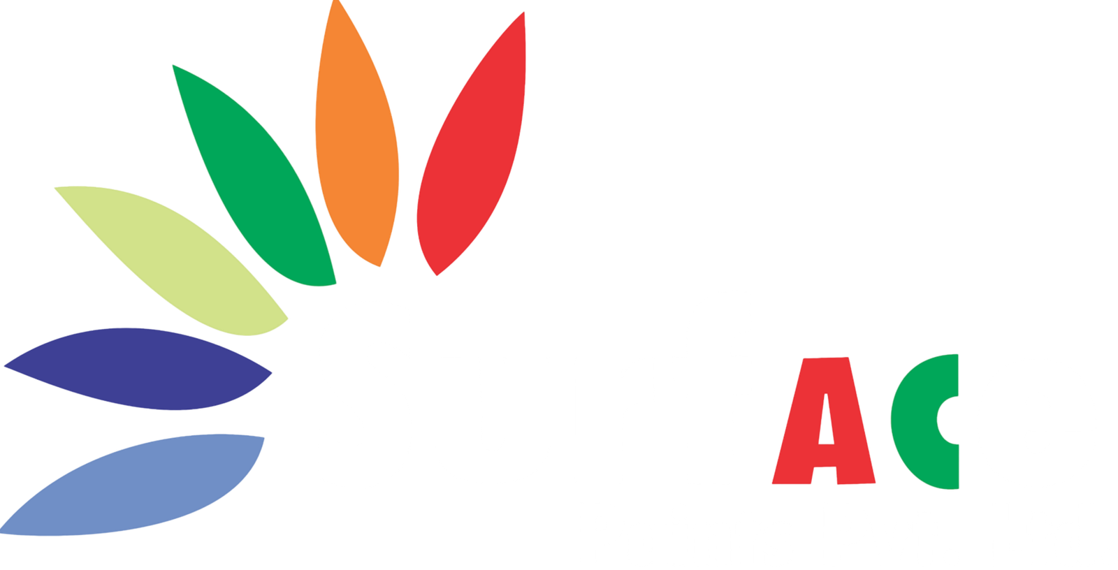 Surface Paints